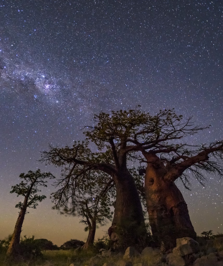 Gruppenreisen in Botswana Highlight Makgadikgadi & Nxai Pans
