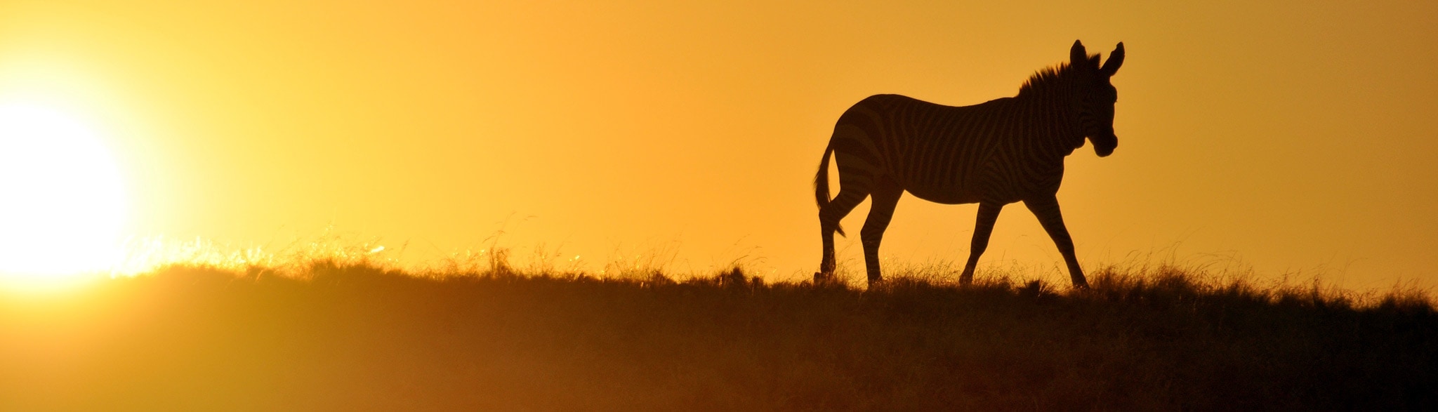 Mietwagenreise Namibia