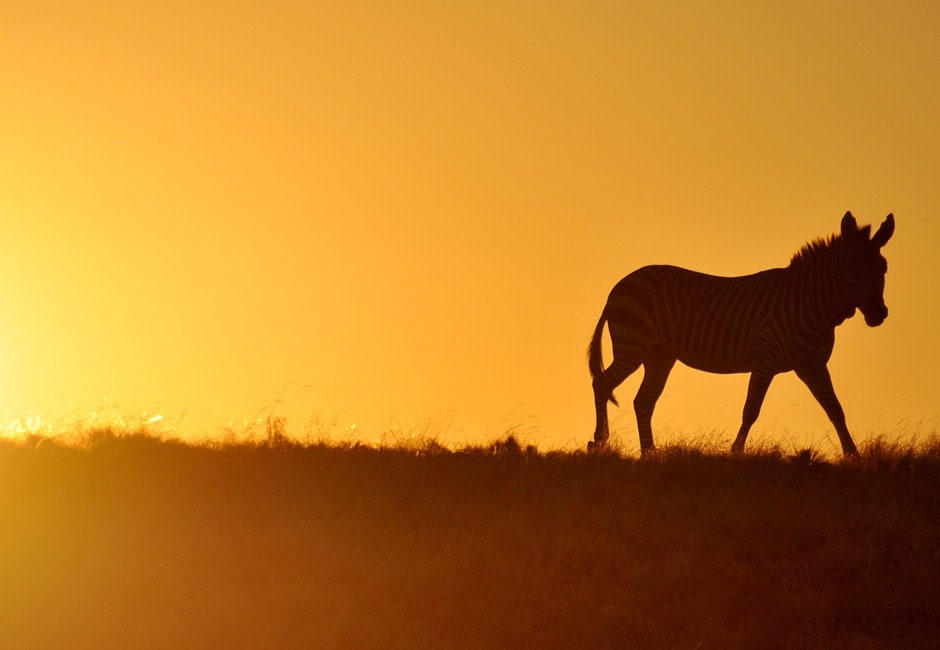 Mietwagenreise Namibia