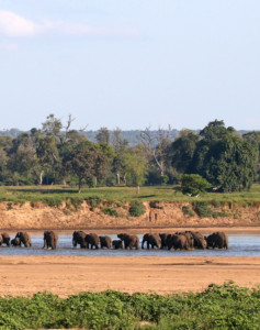 Mietwagenreise Simbabwe