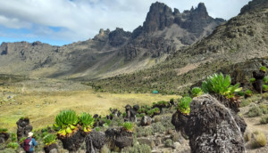 Trekking Touren Reiseziele Mount Kenia