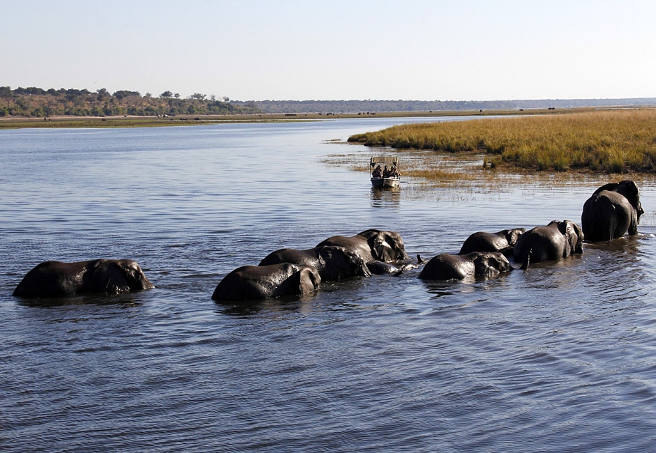 Namibia Botswana Safari