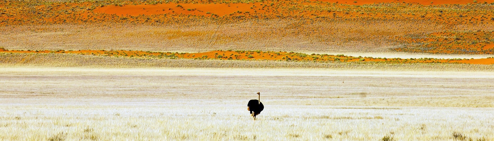 Namibia Camping Safari