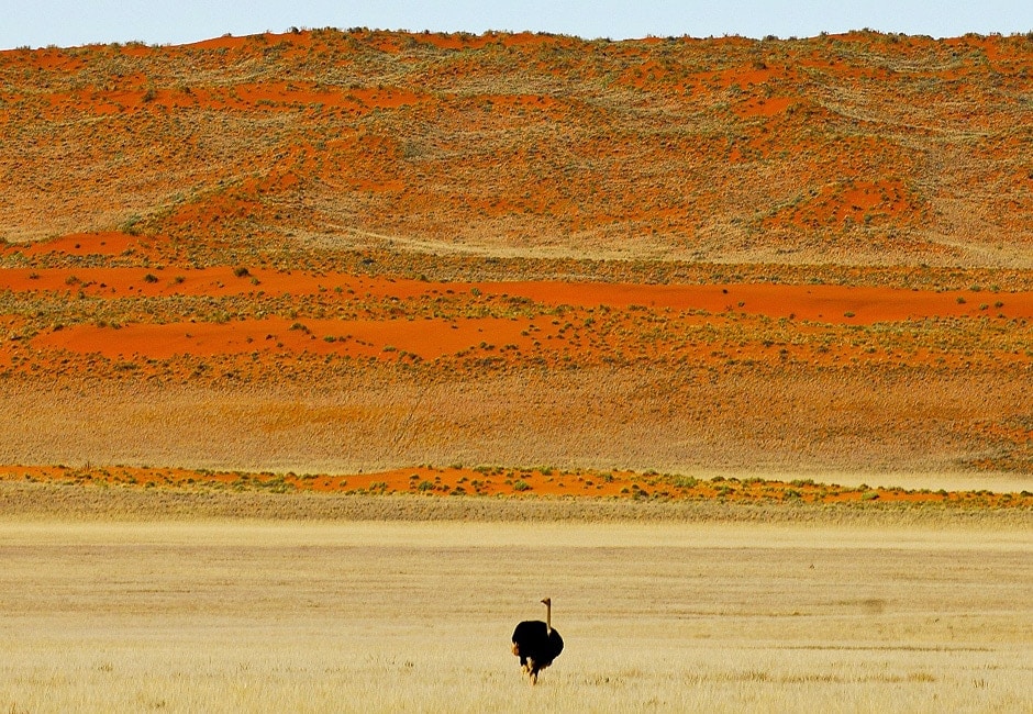 Namibia Camping Safari