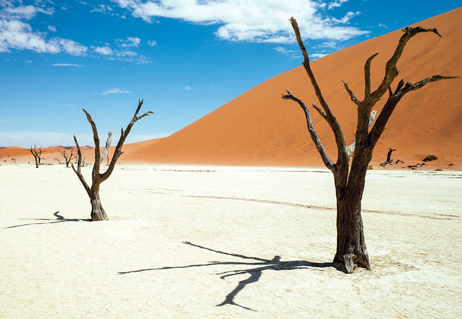 Namibia Lodge Safari