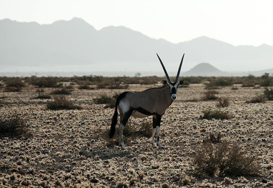 Namibia Selbstfahrer Reise