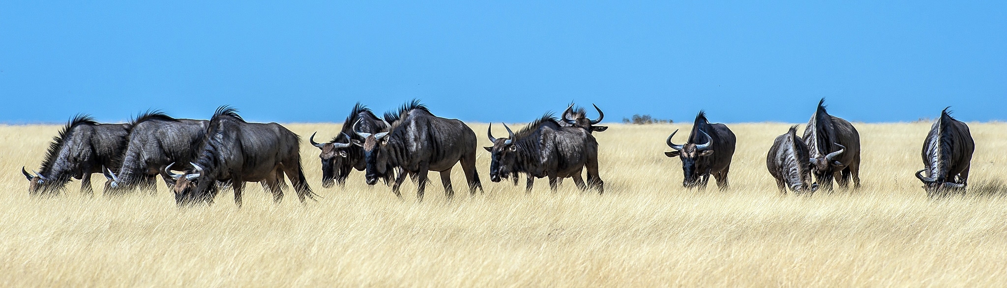 Namibia und Viktoriafälle