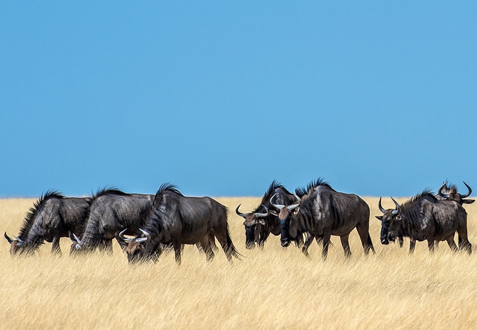 Namibia und Viktoriafälle