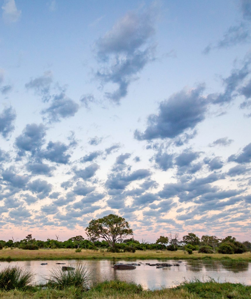 Gruppenreisen in Botswana Highlight Okavango Delta