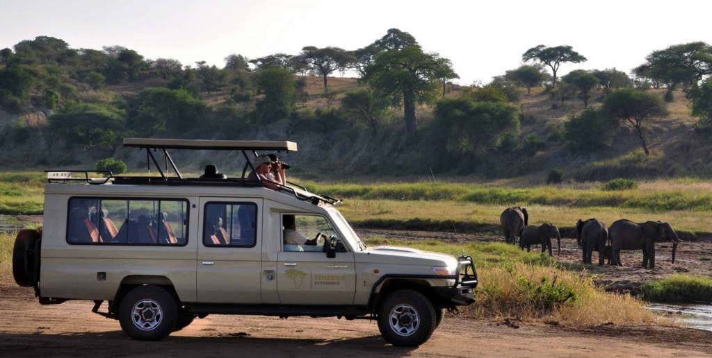 Private Safaris in Afrika