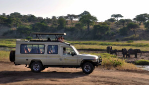 Individualreisen Afrika private Safaris