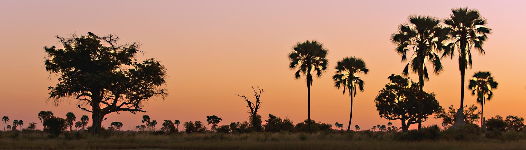 Privatsafari Namibia und Botswana