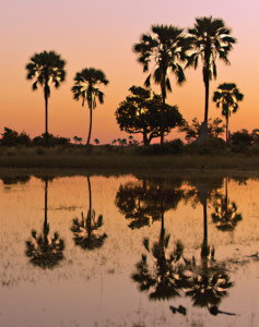 Privatsafari Namibia und Botswana