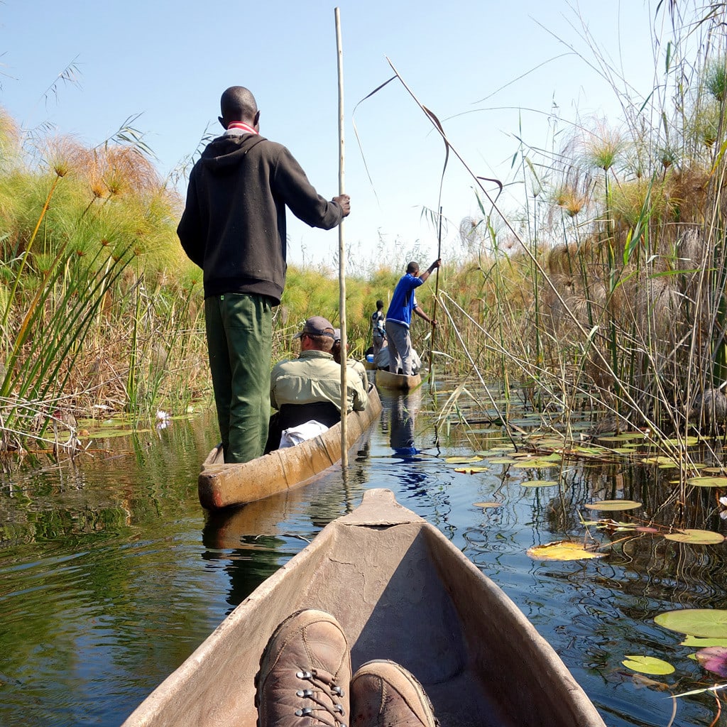 Eine Mokoro-Fahrt durch das Okavango Delta während einer Rundreise durch Südafrika Simbabwe und Botswana
