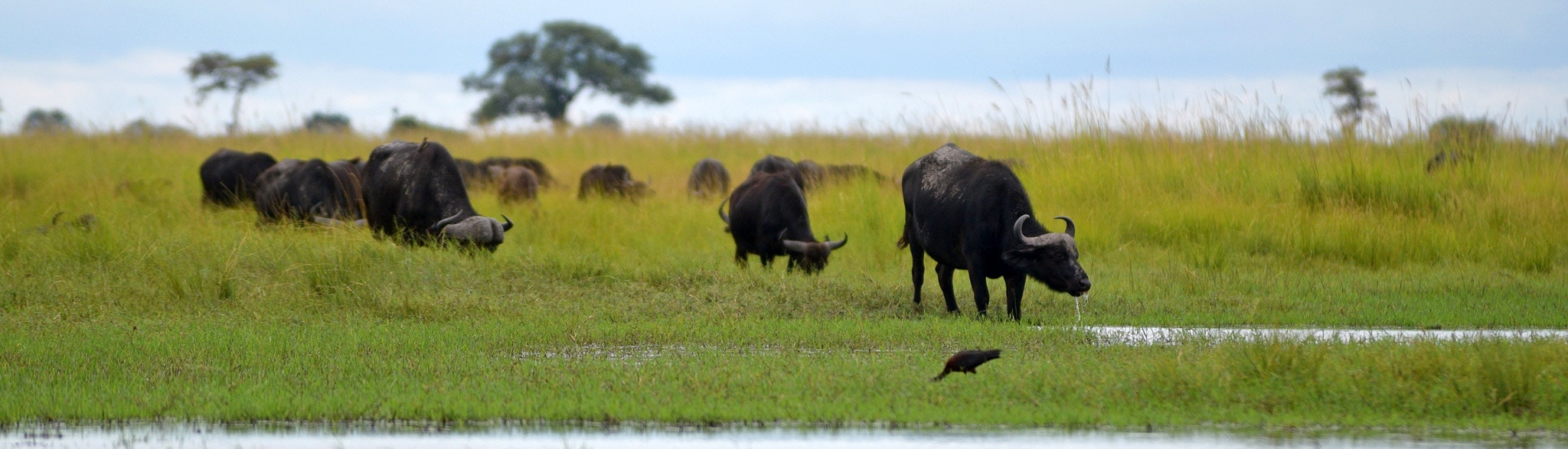 Rundreise Namibia Botswana Victoria Falls