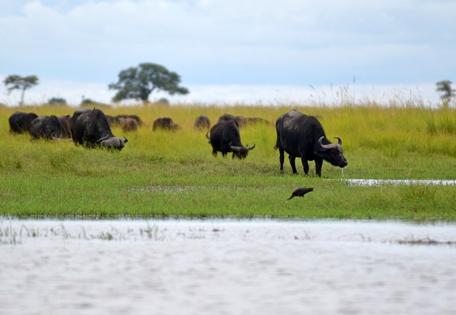 Rundreise Namibia Botswana Victoria Falls