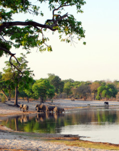 Rundreise Namibia und Viktoriafälle