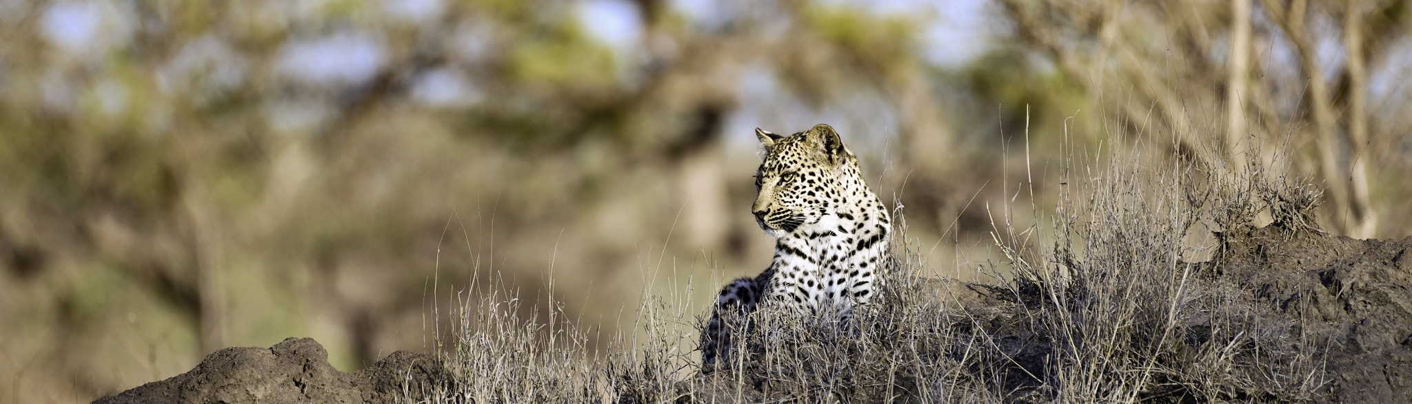 Rundreise Simbabwe Botswana