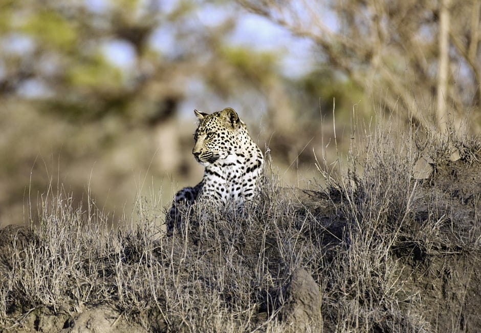 Rundreise Simbabwe Botswana