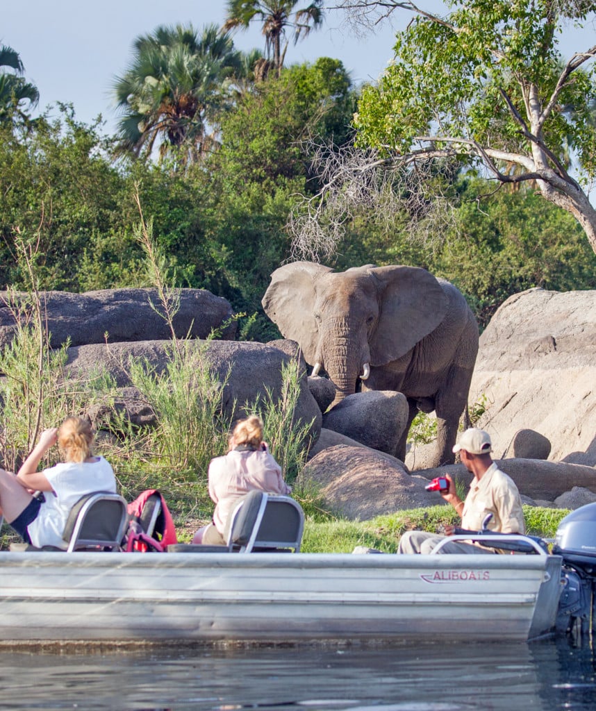 Safari Aktivitäten Kaingu Sambia Reisen