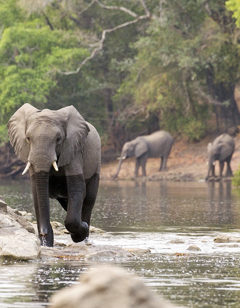 Safaris Sambia Kaingu Lodge