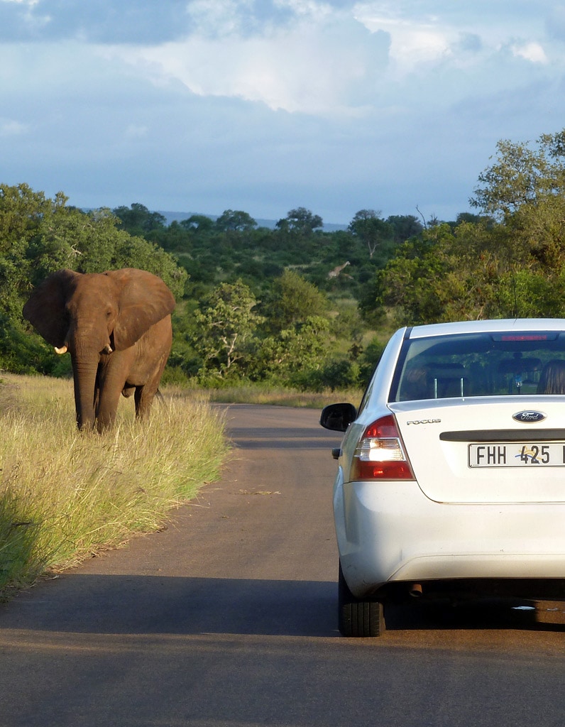 Selbstfahrer Reise Südafrika