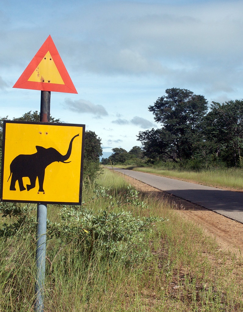 Selbstfahrer Simbabwe Reisen
