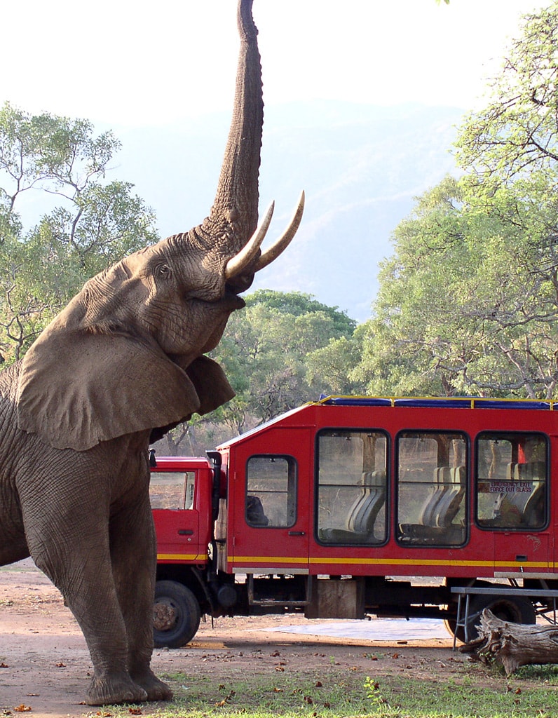 Simbabwe Reisen Gruppenreisen Sunways