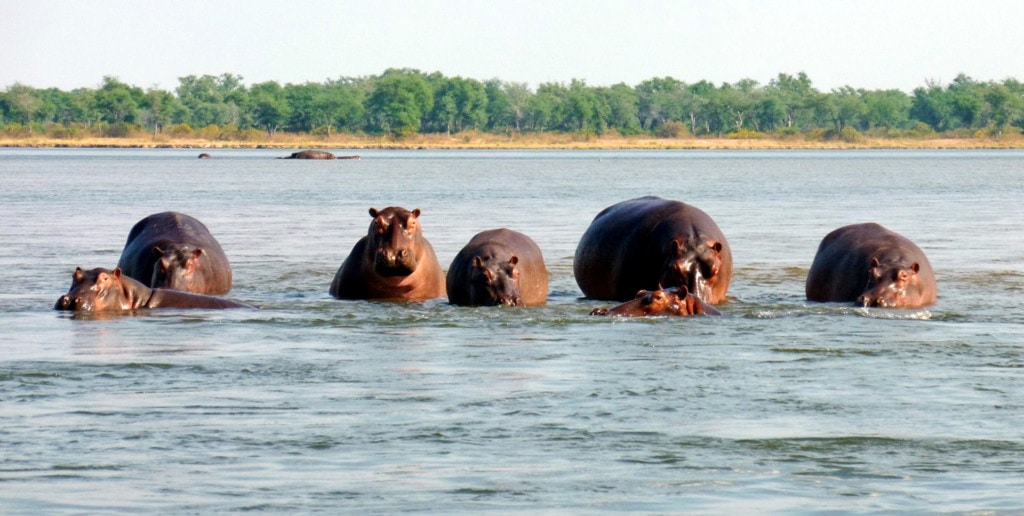 Simbabwe Reisen