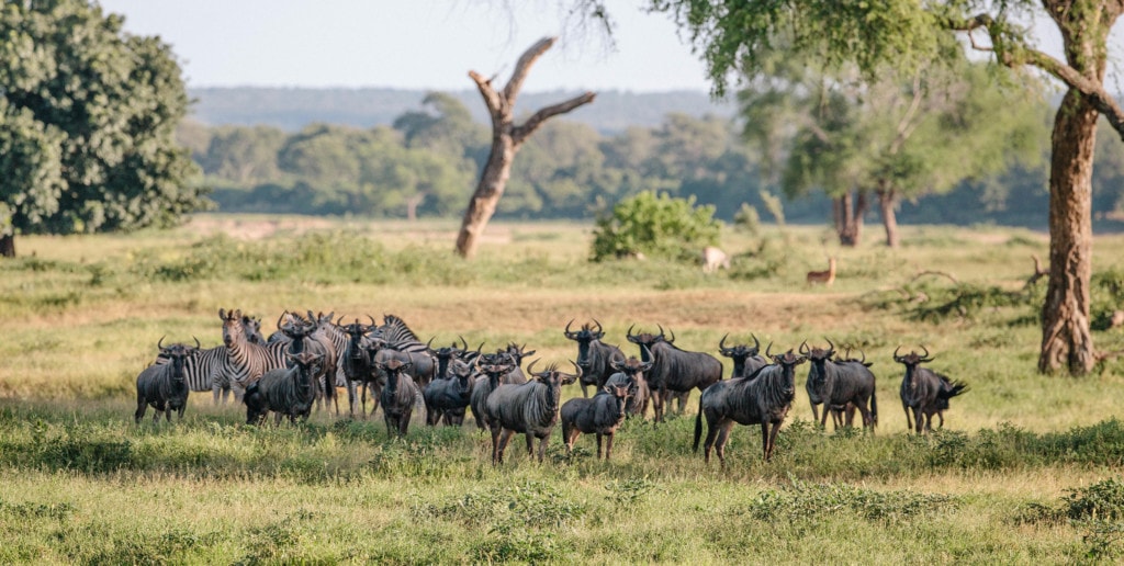 Selbstfahrerreisen in Simbabwe