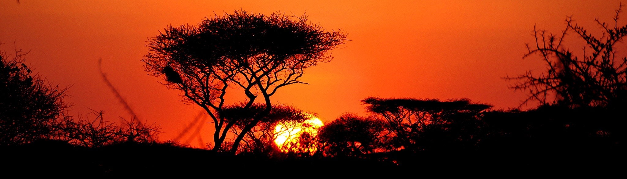 Sonnenuntergang Tansania auf 5 Tages Safari