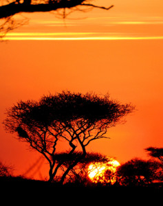 Sonnenuntergang Tansania auf 5 Tages Safari