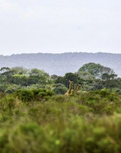 Suedafrika Rundreise Kleingruppe