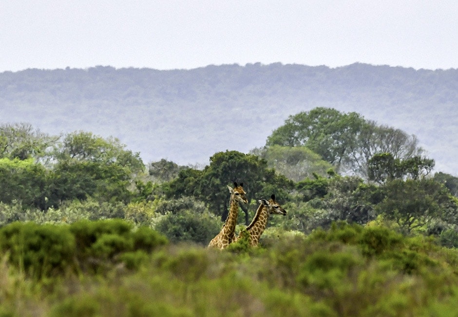 Suedafrika Rundreise Kleingruppe