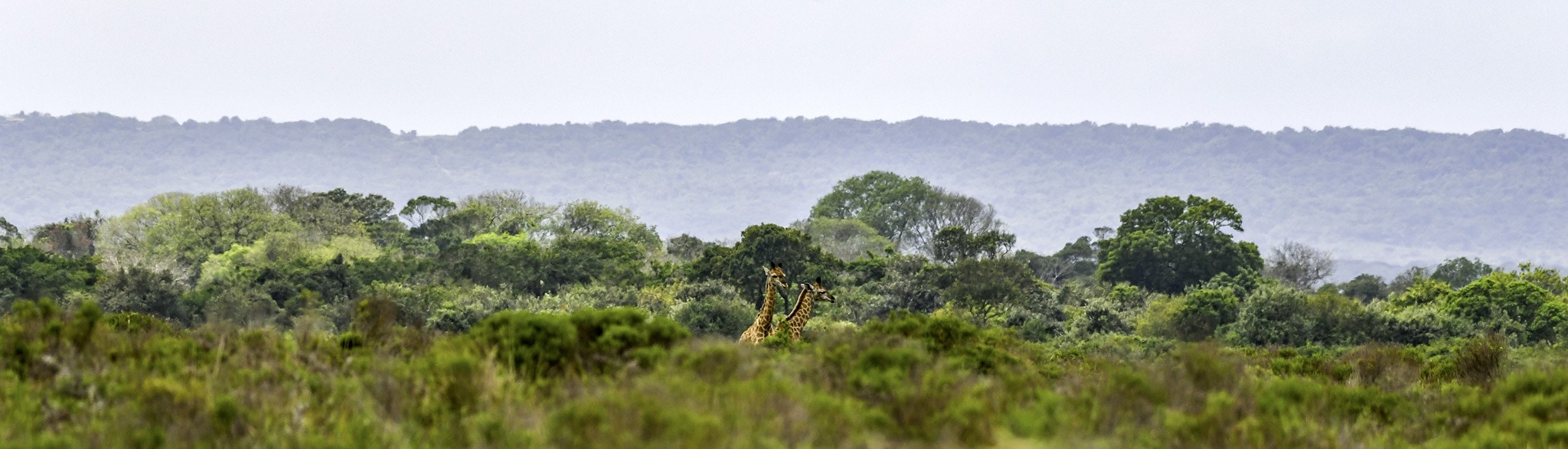 Suedafrika Rundreise Kleingruppe