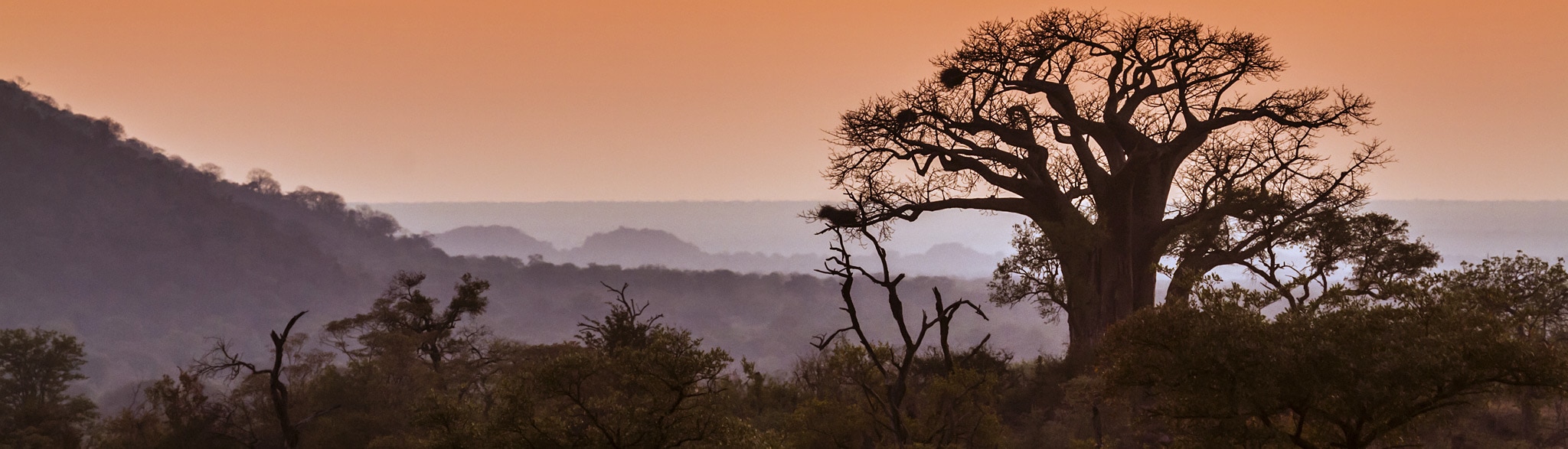 Südafrikas Norden Rundreise