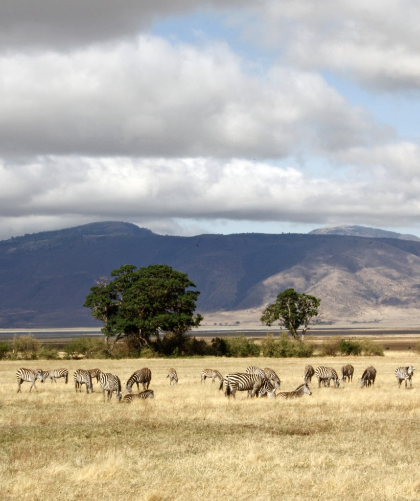Ngorongoro Krater Highlight auf Gruppenreisen in Tansania