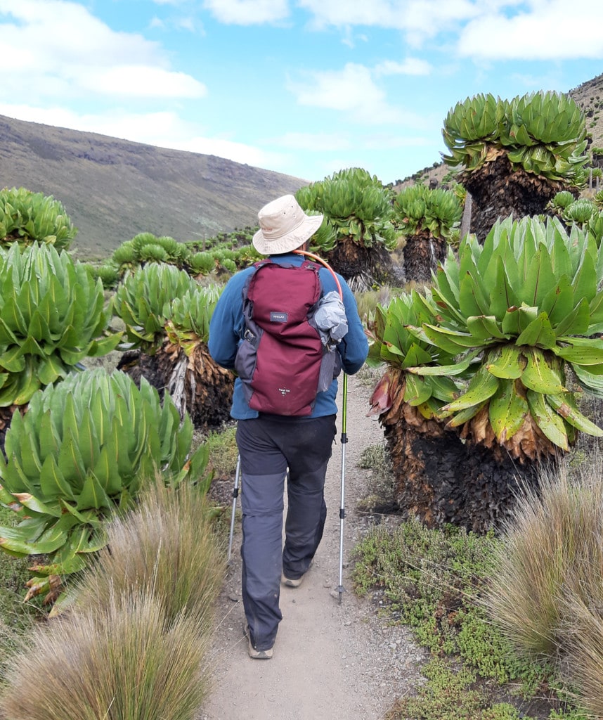 Mount Kenia Besteigung beliebte Routen Sirimon Route