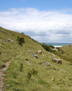 Trekkingreise Südafrika