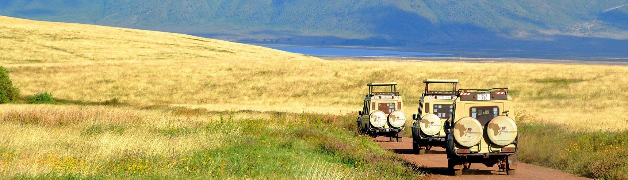 Safari Kenia Tansania