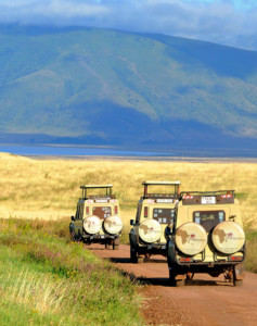 Safari Kenia Tansania