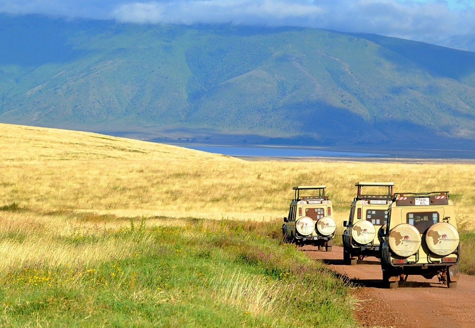 Safari Kenia Tansania