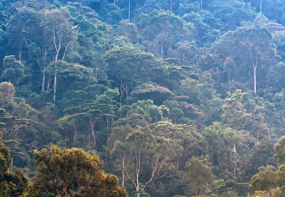 Private Uganda Safari