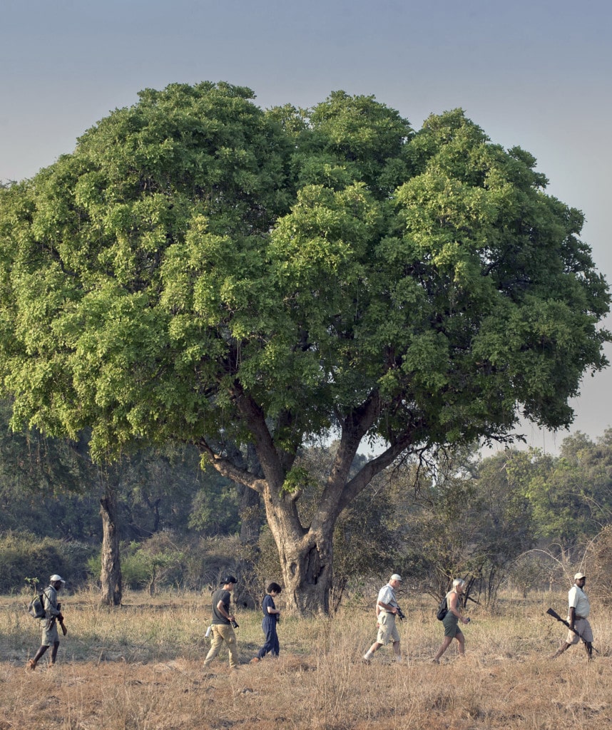 Verschiedene Safari Arten African Bush Camps Simbabwe Reisen