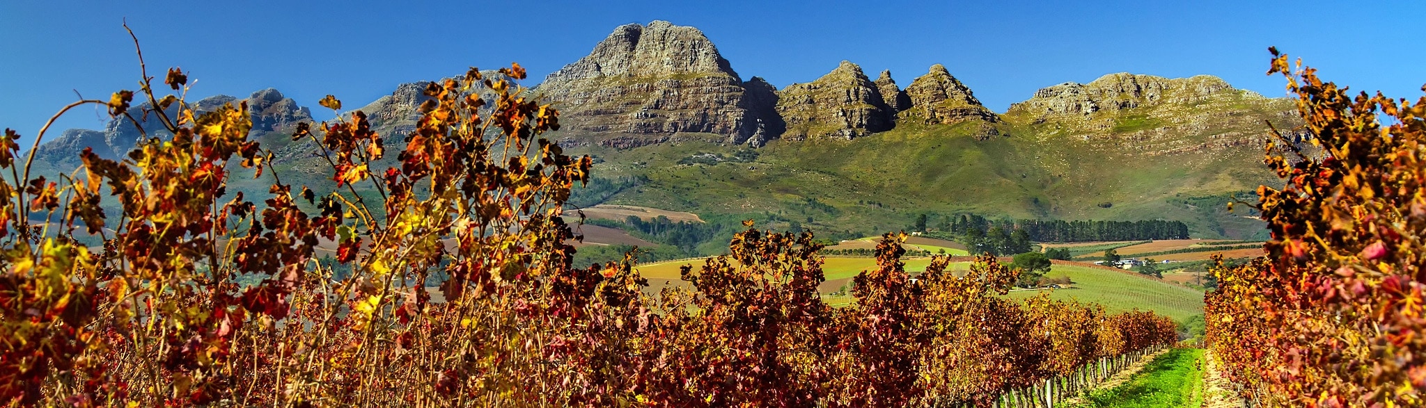 Weinreise Südafrika