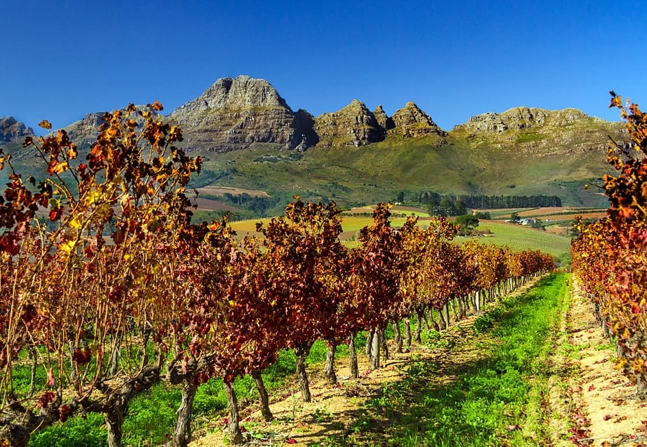 Weinreise Südafrika