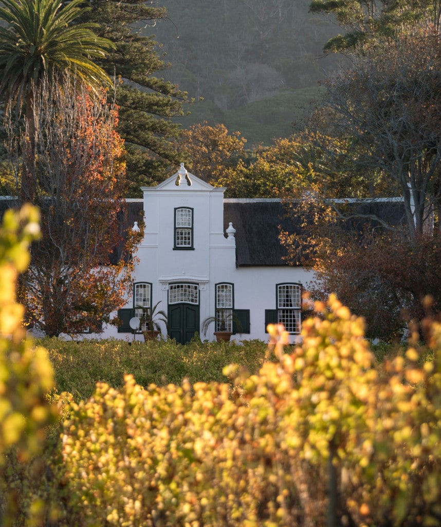 Ein Weingut in Südafrika sehenswert auf Gruppenreisen und Rundreisen