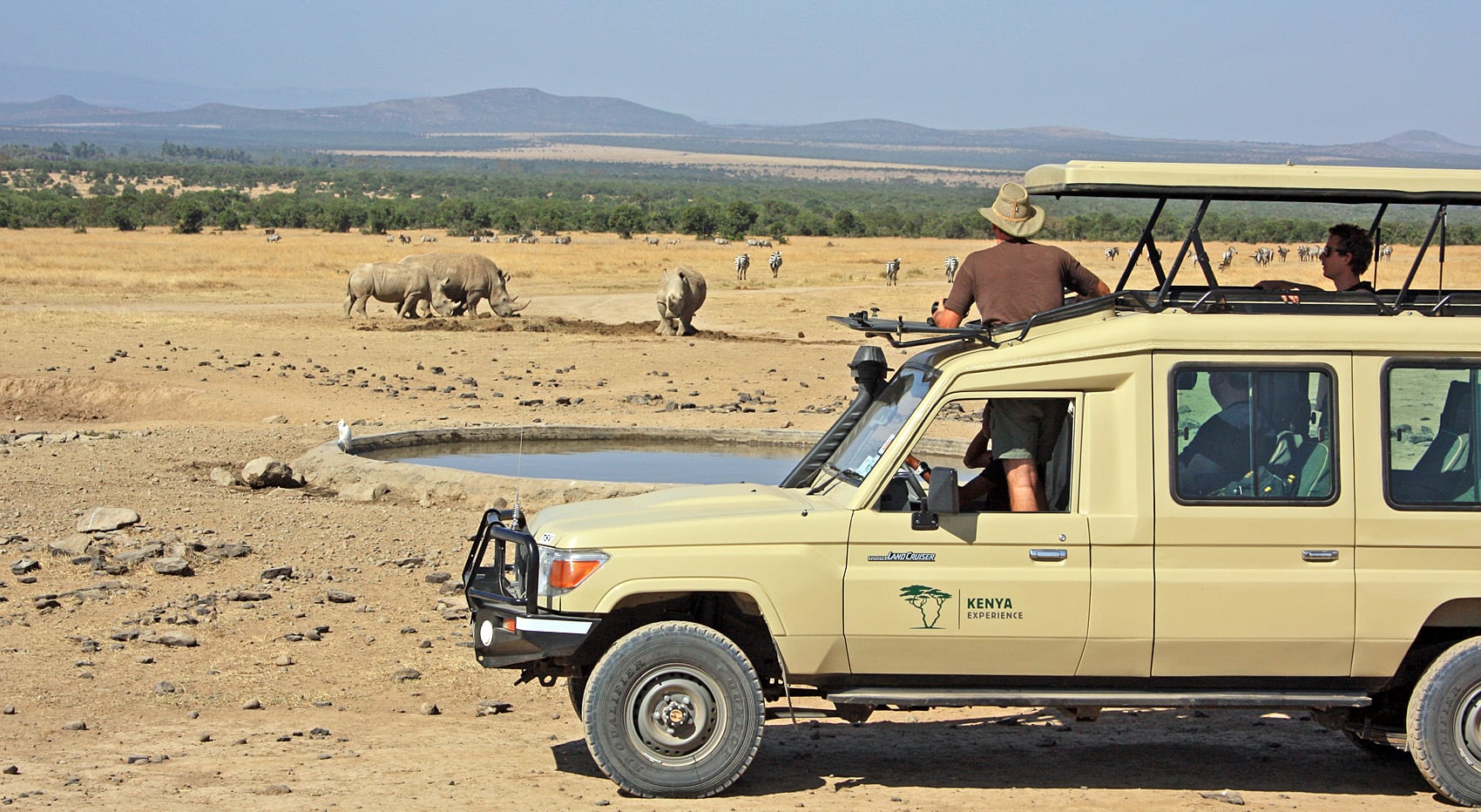 Wo kann man am besten Nashörner beobachten Ol Pejeta