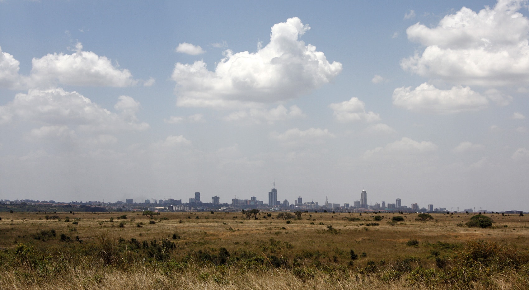 Wo Safari beste Kenia Nairobi