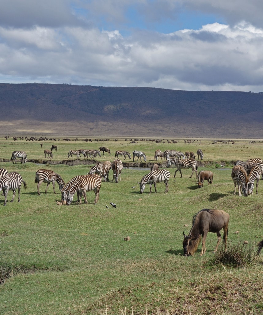 Camping Safari Tansania & Kenia Highlight Krater